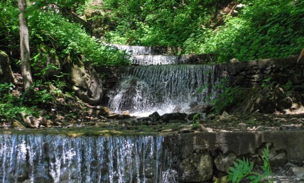 Informationen Zum Trabzon Altindere Valley Nationalpark